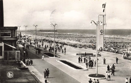 BELGIQUE - Blankenberghe - La Digue - Animé - Carte Postale - Blankenberge