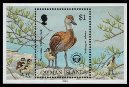 Kaiman-Inseln 1994 - Mi-Nr. Block 19 ** - MNH - Vögel / Birds - Cayman Islands