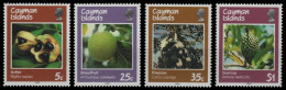 Kaiman-Inseln 1987 - Mi-Nr. 589-592 ** - MNH - Früchte / Fruits - Cayman Islands