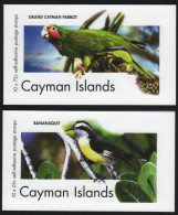 Kaiman-Inseln 2007 - Mi-Nr. 1059 & 1060 ** - MNH - 2 Hefte - Vögel / Birds - Cayman Islands