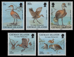 Kaiman-Inseln 1994 - Mi-Nr. 706-710 ** - MNH - Vögel / Birds - Cayman Islands