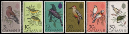 Kaiman-Inseln 1974 - Mi-Nr. 321-326 ** - MNH - Vögel / Birds - Cayman Islands