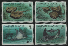 Kaiman-Inseln 1993 - Mi-Nr. 676-679 ** - MNH - Rochen / Rays - Cayman Islands