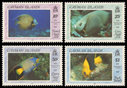 Kaiman-Inseln 1990 - Mi-Nr. 632-635 ** - MNH - Fische / Fish - Cayman Islands