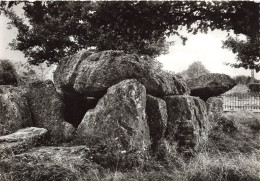 BELGIQUE - Durbuy - Barvaux - Les Environs - Le Dolmen De Wéris - Carte Postale - Durbuy