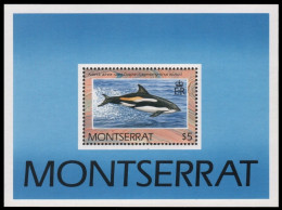 Montserrat 1990 - Mi-Nr. Block 59 ** - MNH - Delphine / Dolphins - Montserrat