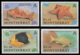 Montserrat 1991 - Mi-Nr. 795-798 ** - MNH - Fische / Fish - Montserrat