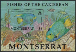Montserrat 2002 - Mi-Nr. Block 92 ** - MNH - Fische / Fish - Montserrat