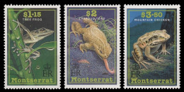 Montserrat 1991 - Mi-Nr. 813-815 ** - MNH - Amphibien / Amphibians - Montserrat