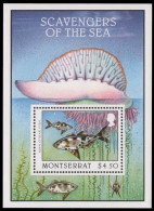 Montserrat 1996 - Mi-Nr. Block 72 ** - MNH - Fische / Fish - Montserrat