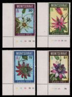 Montserrat 1973 - Mi-Nr. 287-290 ** - MNH - Blumen / Flowers - Montserrat