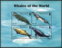 Montserrat 2008 - Mi-Nr. 1403-1406 ** - MNH - Wale / Whales - Montserrat