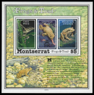 Montserrat 1991 - Mi-Nr. Block 61 ** - MNH - Amphibien / Amphibians - Montserrat