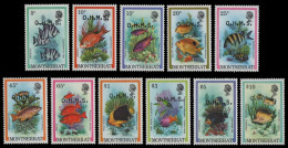 Montserrat 1981 - Mi-Nr. Dienst 32-42 ** - MNH - Fische / Fish - Montserrat