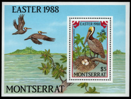 Montserrat 1988 - Mi-Nr. Block 48 ** - MNH - Vögel / Birds - Montserrat