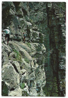 CLAVIJAS DE COTATUERO.-  VALLE DE ORDESA.-  HUESCA.- ( ESPAÑA ) - Huesca