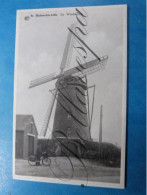 Windmolen X 3 Cpa Moulin A Vent. - Windmills