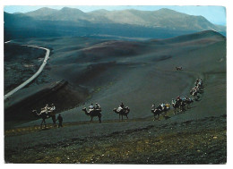 MONTAÑA DEL FUEGO. CARAVANA DE CAMELLOS / FIRE'S MOUNTAIN. CAMEL'S CARAVAN.- LANZAROTE / ISLAS CANARIAS.- ( ESPAÑA ). - Lanzarote