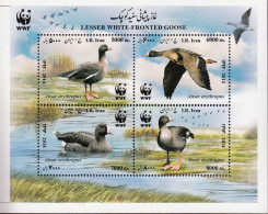 Iran 2015  Birds /WWF Bl.1v.MNH 21850 - Albatro & Uccelli Marini