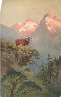 ANIMAL - Caribou - Montagne - Forêt - Carte Postale - Sonstige & Ohne Zuordnung
