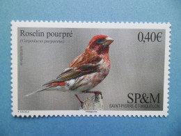 SPM 2016 Y/T 1148 " Oiseaux " Neuf** - Unused Stamps