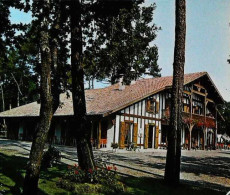 ►    Landes   Sabres   L'auberge Des Pins   1980 - Sabres