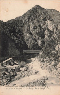 ALGERIE - Environs De Blida - Les Gorges De La Chiffa - LL - Carte Postale Ancienne - Blida