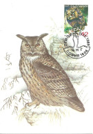 Carte Maximum - Oiseaux - Bulgarie - Bufo Real - Hibou Grand Duc - Eagle Owl - Bubo Bubo - Lettres & Documents