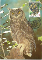 Carte Maximum - Oiseaux - Bulgarie - Bufo Real - Hibou Grand Duc - Eagle Owl - Bubo Bubo - Storia Postale