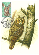 Carte Maximum - Oiseaux - Bulgarie - Bufo Pequeno Coruja - Hibou Moyen-duc - Long-eared Owl - Asio Otus - Briefe U. Dokumente