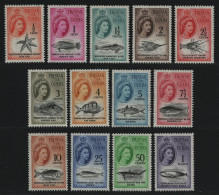 Tristan Da Cunha 1961 - Mi-Nr. 42-54 ** - MNH - Meeresleben / Marine Life (II) - Tristan Da Cunha