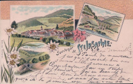 Souvenir De St Ursanne JU, Litho Couleur 3 Vues Et Edelweiss (17.5.1901) - Saint-Ursanne