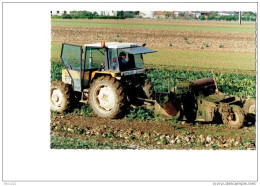 21 - Côte D'Or - SOIRANS FOUFFRANS - La Récolte Des Betteraves - Homme Tracteur Gros Plan RENAULT - Tracteurs