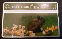Belgique Télécarte S61 Pâques 303M - Sans Puce