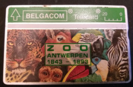 Belgique Télécarte S64 Zoo Van Antwerpen Zoo D'Anvers 304B - Without Chip