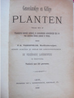 Beervelde : 1880 -Geneeskundige En Giftige Planten ..... F-A Vandevelde ,Hoofdonderwijzer , Versierd Met 100 Gravuren. - Vecchi