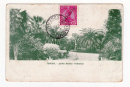 Bilhete Postal 1912 Funchal Portugal Levallois Perret France Jardim Publico - Palmeiras Stamp Rei Manuel II - Funchal