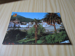 Amélie-les-Bains (66).Vue Générale. - Amélie-les-Bains-Palalda