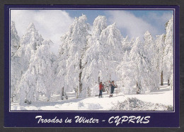 112312/ CYPRUS, Troodos Mountains, Mount Olympus In The Snow  - Chypre