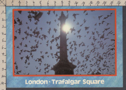 111058GF/ LONDON, Trafalgar Square - Trafalgar Square