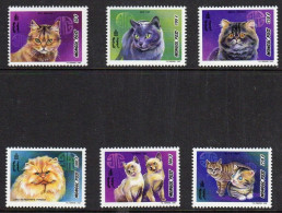 MONGOLIA 1998 FAUNA Animals CATS - Fine Set MNH - Mongolie