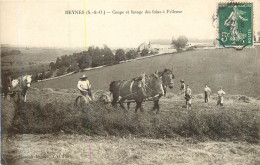 BEYNES Coupe Et Fanage Des Foins à Frileuse - Beynes