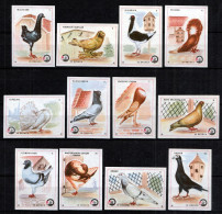 ⁕ Yugoslavia, DOLAC Na Lašvi (Bosnia - Travnik) ⁕ Match Label / Matchbox Labels ⁕ 12v Purebred Pigeons ( 1-12 ) - Boites D'allumettes - Etiquettes