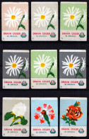 ⁕ Yugoslavia DRAVA Osijek ⁕ Match Label / Matchbox Labels Flowers ⁕ 9v - Zündholzschachteletiketten