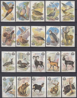 ⁕ Yugoslavia DRAVA Osijek ⁕ Match Label / Matchbox Labels ⁕ 20v FAUNA (1-20) Birds, Wild Animals / See Scan RARE - Boites D'allumettes - Etiquettes