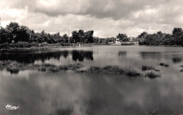 18 HENRICHEMONT L'ETANG DU PETIT BOIS - Henrichemont