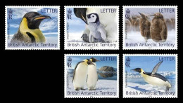 BAT 2023 FAUNA Animals PENGUINS (Letter Rate) - Fine Set MNH - Unused Stamps
