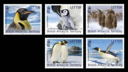 BAT 2023 FAUNA Animals PENGUINS (Letter Rate) - Fine Set MNH - Neufs