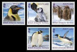 BAT 2023 FAUNA Animals PENGUINS (Postcard Rate) - Fine Set MNH - Ungebraucht