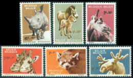 1961 Antwerp Zoo,rhino,horse,Okapi,giraffe,Red Panda,Moose,Belgium,Mi.1242,MNH - Girafes